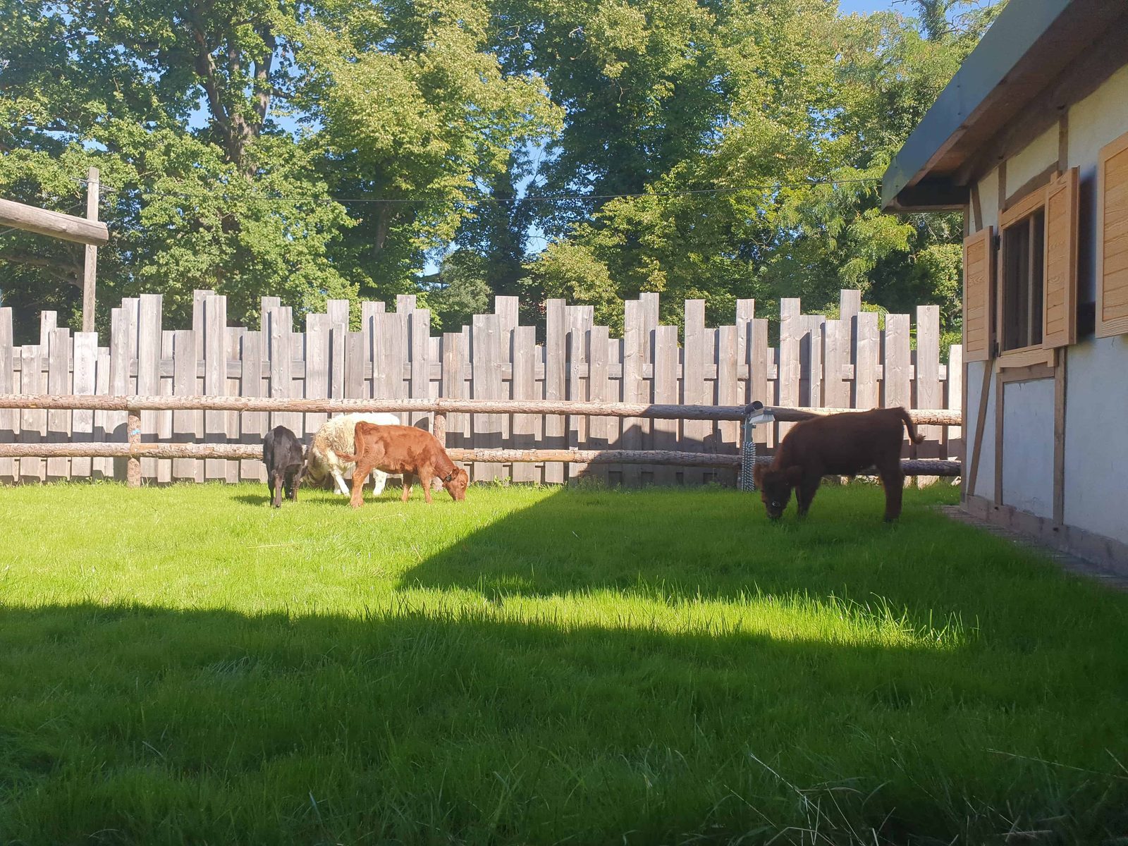 Hundehütte