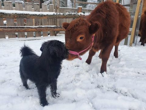 Krümel und Frida