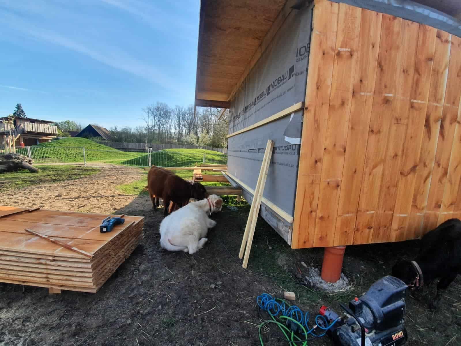 Nach der Messe – ein Ferienhaus entsteht