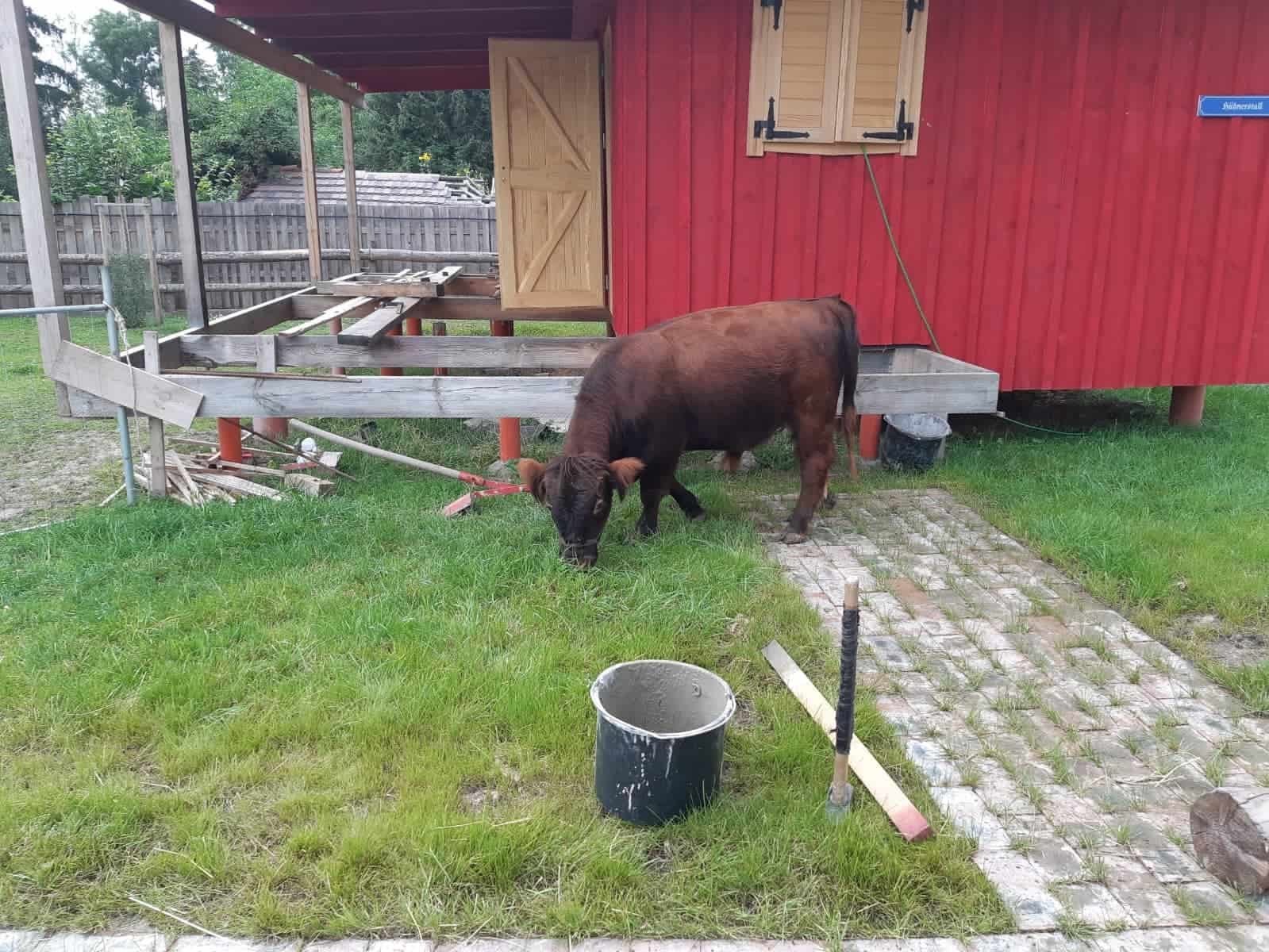 Optimierungsbedarf