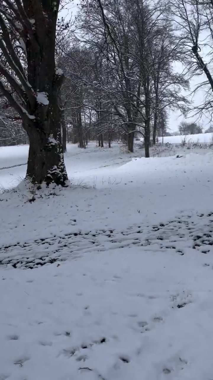 Der Hof im Winter