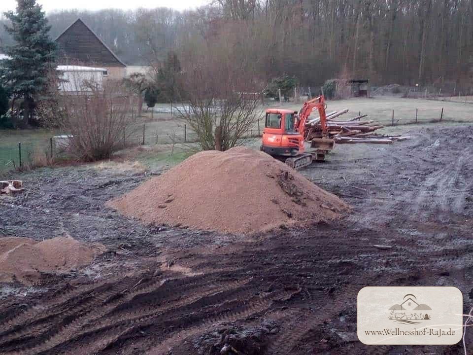 Der Umbau beginnt