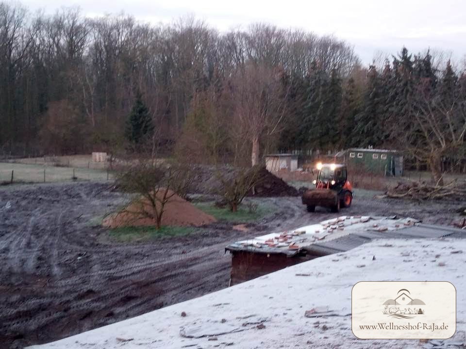 Der Umbau beginnt