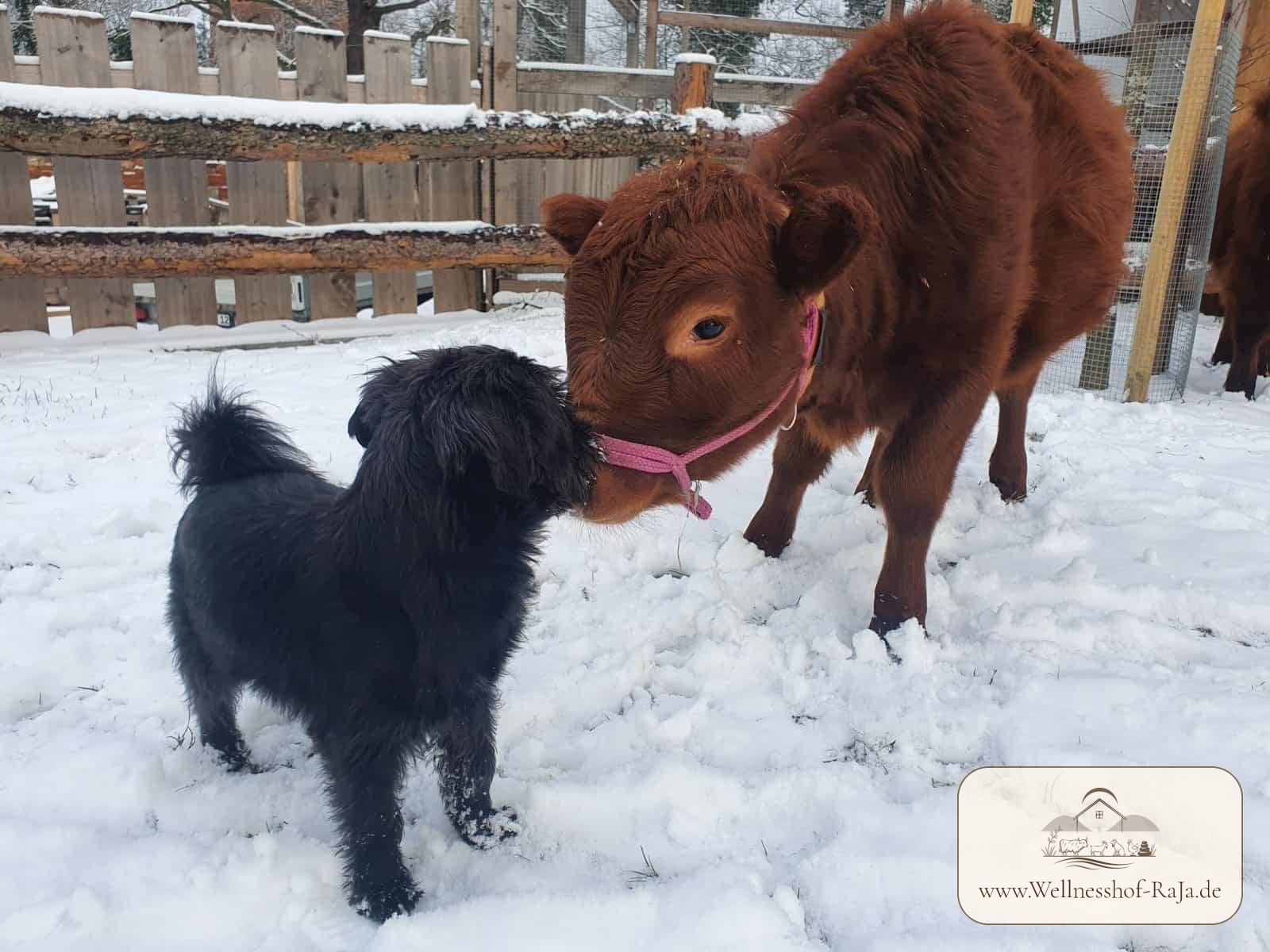 Krümel und Frida zusammen
