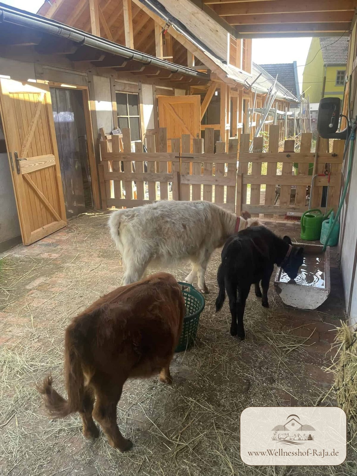 Es nimmt Form an
