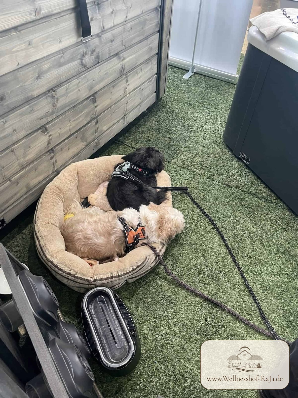 Balu und Krümel als Verkäufer
