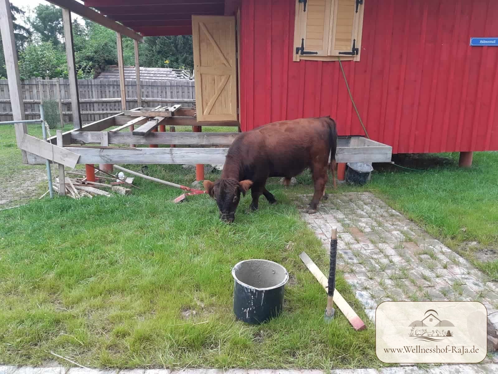 Optimierungsbedarf